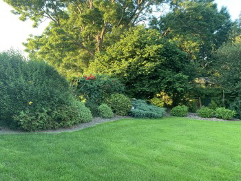 Garten Garten